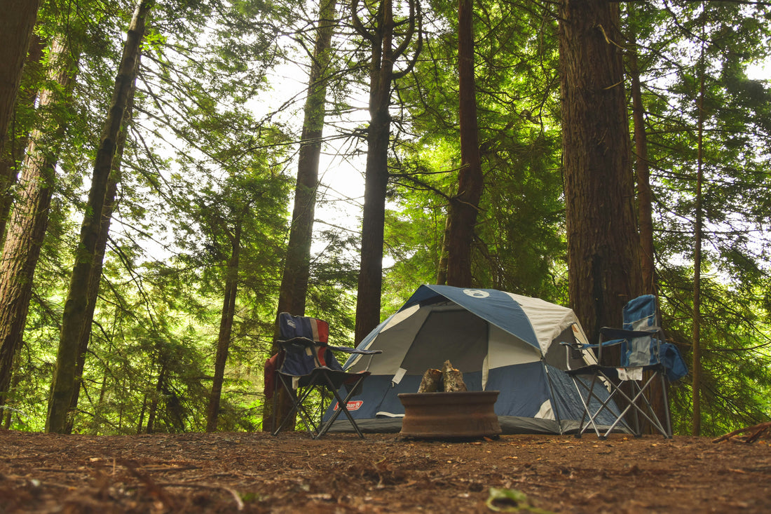 Fun Camping Facts Kids Should Know