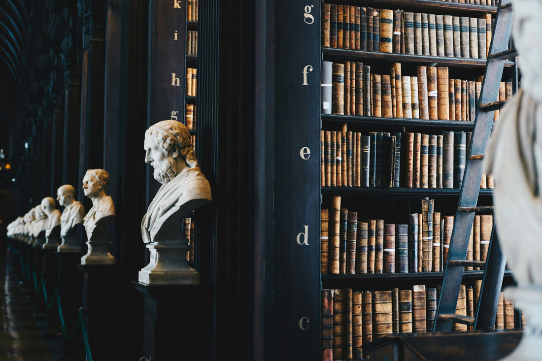Why Learning About History Helps Kids Understand the World
